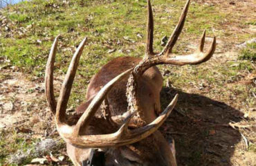 deer hunting in Alabama
